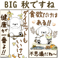 [LINEスタンプ] 【Big】犬さん『秋』2025