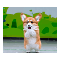 [LINEスタンプ] 踊るコーギー