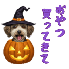 [LINEスタンプ] ワンコとハロウィン/ジャックオーランタン