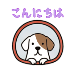 [LINEスタンプ] 窓からお出迎えする犬の日常