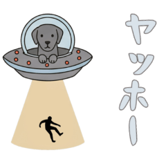 [LINEスタンプ] UFOで宇宙犬1日常