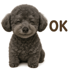 [LINEスタンプ] グレーと黒のプードル