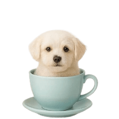 [LINEスタンプ] [アレンジ用]カップから犬1