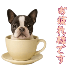 [LINEスタンプ] [お疲れ様です専用]カップからワンコ