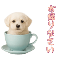 [LINEスタンプ] [お帰りなさい専用]カップからワンコ