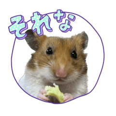 [LINEスタンプ] ねねおとてんてんと時々ツバメ fetchpriority=high