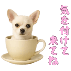 [LINEスタンプ] [気を付けて来てね専用]カップからワンコ