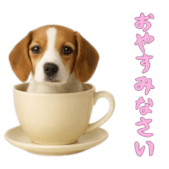 [LINEスタンプ] [おやすみなさい専用]カップからワンコ