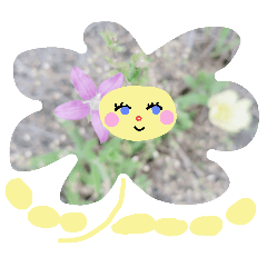 [LINEスタンプ] ゆるポラ。