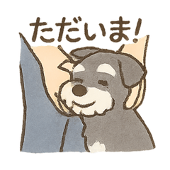 [LINEスタンプ] ミニシュナと毎日いっしょスタンプ