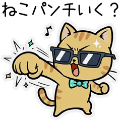 [LINEスタンプ] サングラス猫の毎日使えるリアクション集