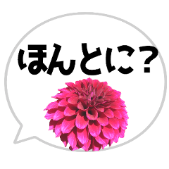 [LINEスタンプ] *花* ダリア＆吹き出し