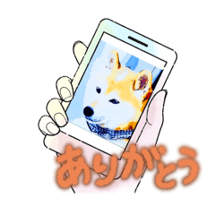 [LINEスタンプ] 柴犬ハルver7