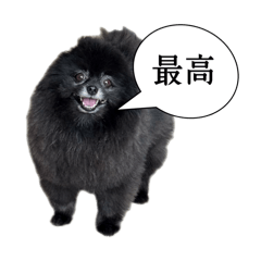 [LINEスタンプ] タオスタンプ(日常)