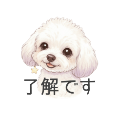 [LINEスタンプ] トイプードル(リアルタッチ、ホワイト)