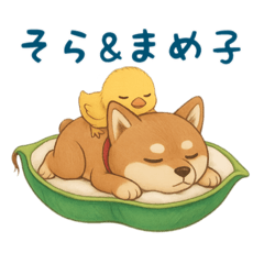 [LINEスタンプ] そらとまめ子のほのぼの日常