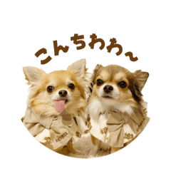 [LINEスタンプ] もなめん02