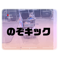[LINEスタンプ] のぞキック