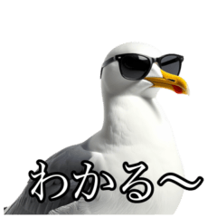 [LINEスタンプ] 友達なカモメ 