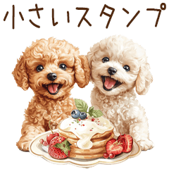 [LINEスタンプ] 超ちいさいトイプードルのスタンプ