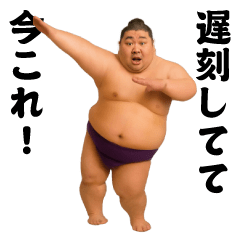 [LINEスタンプ] 踊る！今これ界隈/相撲取り/関取/力士