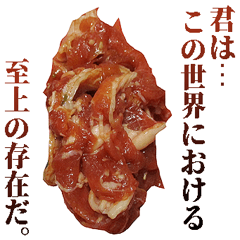 [LINEスタンプ] 全てを肯定する生肉