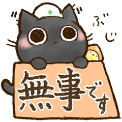 [LINEスタンプ] おはぎさん。～防災・気遣い猫～（敬語）