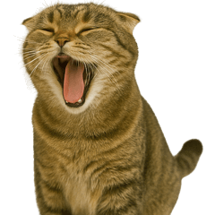 [LINEスタンプ] 小さな耳のキジトラ猫（キジトラ）