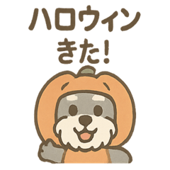 [LINEスタンプ] ハロウィン仮装シュナの便利連絡セット