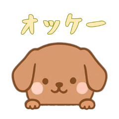 [LINEスタンプ] [オッケー専用]のぞく犬