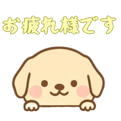 [LINEスタンプ] [お疲れ様です専用]のぞく犬
