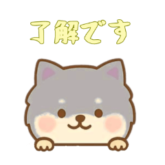 [LINEスタンプ] [了解です専用]のぞく犬