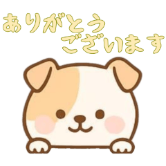 [LINEスタンプ] [ありがとうございます専用]のぞく犬