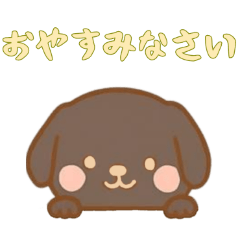 [LINEスタンプ] [おやすみなさい専用]のぞく犬