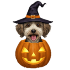 [LINEスタンプ] [アレンジ用]ワンコとハロウィンカボチャ
