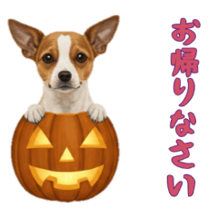 [LINEスタンプ] [お帰りなさい専用]ハロウィンの犬