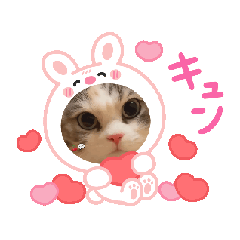 [LINEスタンプ] 飲兵衛オヤジお疲れ様スタンプ