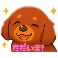 [LINEスタンプ] 我が家の犬。ミニチュアダックス