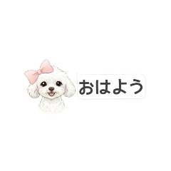 [LINEスタンプ] 省スペース・吹き出し トイプー ホワイト