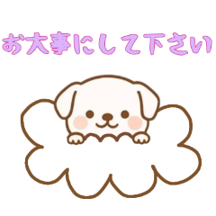 [LINEスタンプ] [お大事にして下さい専用]お空のワンコ