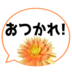 [LINEスタンプ] *花* ダリア＆吹き出し Colorful