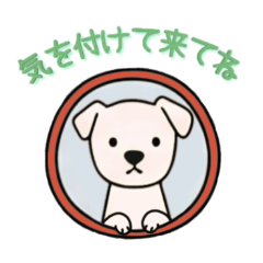 [LINEスタンプ] [気を付けて来てね専用]窓からお出迎える犬