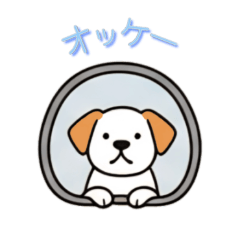 [LINEスタンプ] [オッケー専用]窓からお出迎えする犬