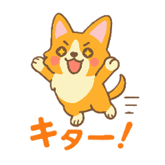 [LINEスタンプ] 癒しのかわいいコーギー！