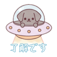 [LINEスタンプ] [了解です専用]宇宙犬UFOで襲来