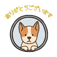 [LINEスタンプ] [ありがとうございます専用]窓から出迎え犬