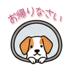 [LINEスタンプ] [お帰りなさい専用]窓からお出迎えする犬