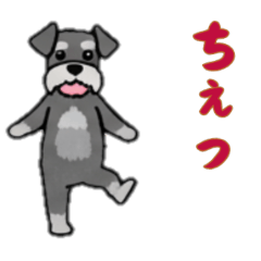 [LINEスタンプ] シュナウザーと一緒だよ