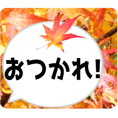 [LINEスタンプ] *花* 紅葉＆吹き出し