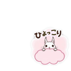 [LINEスタンプ] エゾリスの冬